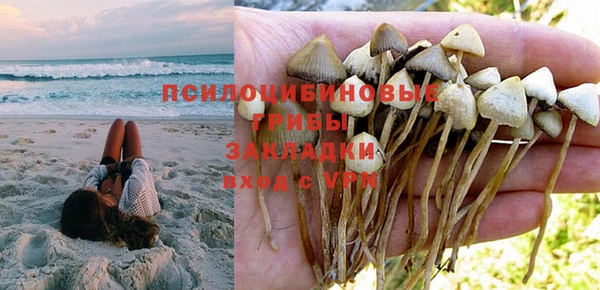 ешки Няндома
