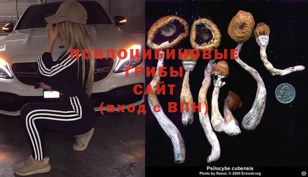 ешки Няндома