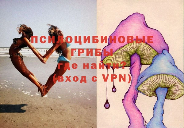 ешки Няндома