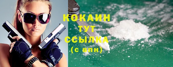 ешки Няндома