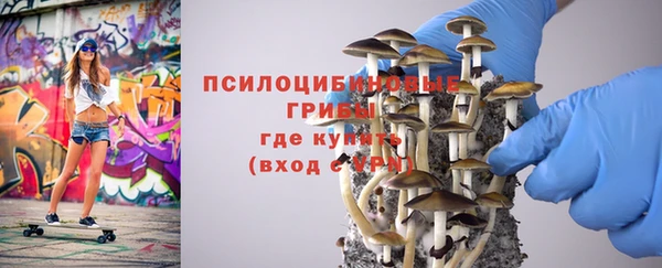 ешки Няндома